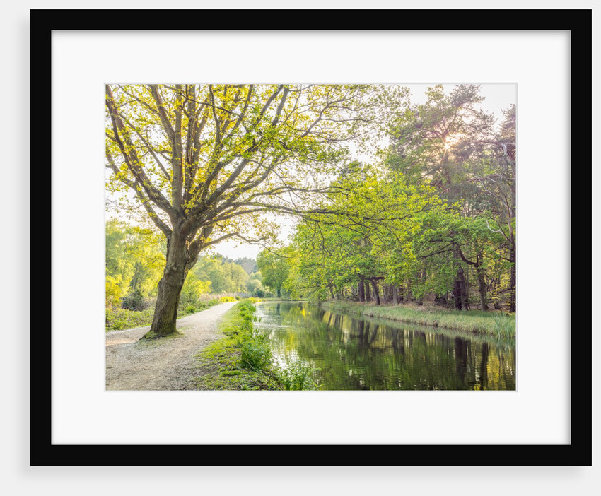 Canal on a spring day by Assaf Frank